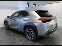usata Lexus UX Full Electric Premium del 2019 usata a Torino