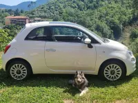 Usata Fiat 500C S 69 CV (50 kW) 2018 Bianco Cabrio