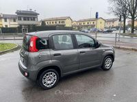 Usata Fiat Panda Easy 69 CV (50 kW) 2020 Grigio Utilitaria