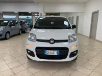 Usata Fiat Panda 4x4 S 86 CV (63 kW) 2020 Bianco Utilitaria