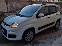 Usata Fiat Panda Lounge 80 CV (58 kW) 2022 Bianco Utilitaria