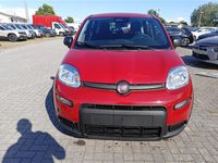 Nuova Fiat Panda 70 CV (51 kW) 2025 Rosso Utilitaria