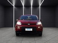 Usata Fiat Panda S 69 CV (50 kW) 2024 Rosso Utilitaria