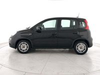Usata Fiat Panda S 70 CV (51 kW) 2024 Nero Utilitaria
