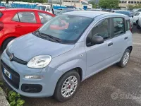 Usata Fiat Panda 69 CV (50 kW) 2020 Grigio Utilitaria