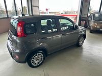 usata Fiat Panda 3ª serie 1.0 FireFly S&S Hybrid