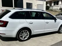 Usata Skoda Octavia G-TEC Executive 131 CV (96 kW) 2019 Other Station wagon