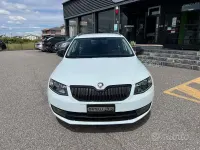 Usata Skoda Octavia G-TEC Executive 110 CV (80 kW) 2017 Bianco Station wagon