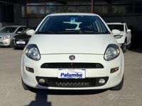 Usata Fiat Punto Lounge 75 CV (55 kW) 2014 Bianco Utilitaria