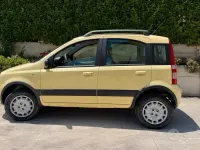 Usata Fiat Panda 4x4 Climbing 60 CV (44 kW) 2009 Giallo Utilitaria