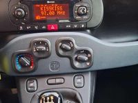 Usata Fiat Panda Lounge 80 CV (58 kW) 2022 Bianco Utilitaria