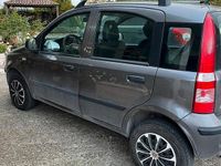 Usata Fiat Panda 2011 Grigio Utilitaria