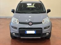 Usata Fiat Panda 4x4 S 95 CV (69 kW) 2017 Grigio pastello Utilitaria