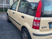 Usata Fiat Panda Dynamic 59 CV (43 kW) 2007 Giallo Utilitaria