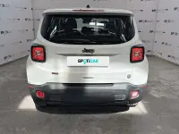 Usata Jeep Renegade Longitude 131 CV (96 kW) 2024 Bianco SUV