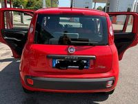 Usata Fiat Panda Easy 69 CV (50 kW) 2018 Rosso Utilitaria