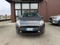 Usata Fiat Punto Lounge 69 CV (50 kW) 2016 Grigio Utilitaria