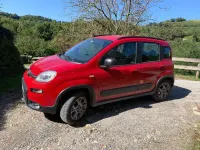 Usata Fiat Panda 4x4 86 CV (63 kW) 2013 Rosso Utilitaria