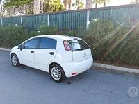 Usata Fiat Punto 75 CV (55 kW) 2014 Bianco Utilitaria