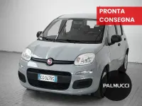 Usata Fiat Panda S 70 CV (51 kW) 2021 Grigio Utilitaria