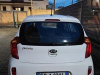 Usata Kia Picanto 2013 Bianco Utilitaria