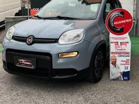 Usata Fiat Panda City Life 69 CV (50 kW) 2021 Grigio Berlina