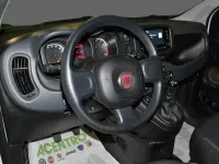 Usata Fiat Panda 70 CV (51 kW) 2023 Bianco Utilitaria