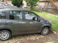 Usata Fiat Panda 69 CV (50 kW) 2017 Grigio Utilitaria
