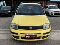 Usata Fiat Panda Active 75 CV (55 kW) 2015 Giallo Utilitaria