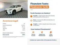 Usata Lexus NX300h Business Edition 155 CV (114 kW) 2019 Bianco SUV