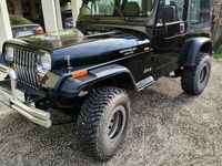 Usata Jeep Wrangler 184 CV (135 kW) 1994 SUV