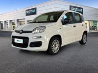 Usata Fiat Panda Easy 95 CV (69 kW) 2018 Bianco Utilitaria