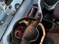 Usata Kia Picanto 65 CV (47 kW) 2014 Bianco Utilitaria