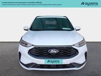 Usata Ford Kuga ST-Line 179 CV (131 kW) 2024 Bianco SUV