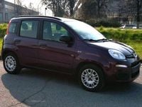 Usata Fiat Panda Easy 69 CV (50 kW) 2012 Viola Utilitaria
