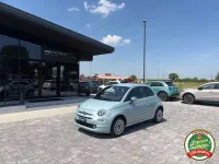 Usata Fiat 500 Dolcevita 69 CV (50 kW) 2023 Blu Utilitaria