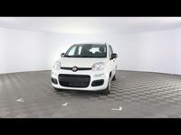 Nuova Fiat Panda Icon 70 CV (51 kW) 2025 Bianco gelato Utilitaria