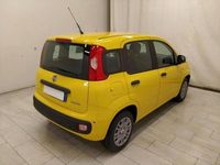 Nuova Fiat Panda S 71 CV (52 kW) 2025 Giallo Berlina