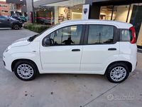 Usata Fiat Panda Easy 69 CV (50 kW) 2018 Bianco Utilitaria