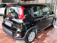Usata Fiat Panda S 69 CV (50 kW) 2024 Nero Utilitaria