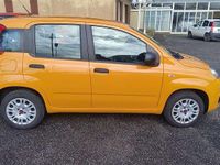 Usata Fiat Panda Easy 69 CV (50 kW) 2020 Arancione Utilitaria