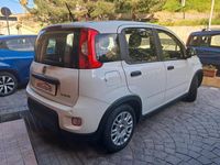 Usata Fiat Panda City Life 69 CV (50 kW) 2023 Bianco Utilitaria