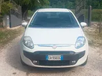 Usata Fiat Punto Evo Emotion 77 CV (56 kW) 2010 Utilitaria