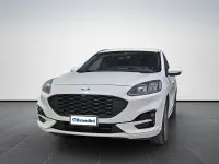 Usata Ford Kuga ST-Line X 120 CV (88 kW) 2023 Bianco SUV