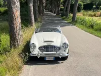 Usata Austin Healey 100/6 1950 Bianco Cabrio