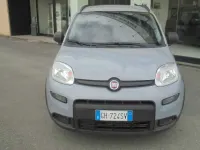 Usata Fiat Panda City Life 69 CV (50 kW) 2022 Grigio Utilitaria