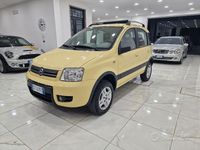 Usata Fiat Panda 4x4 Climbing 69 CV (50 kW) 2006 Giallo Utilitaria