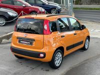 usata Fiat Panda 1.2 Benz/Gpl 69cv Easy 2019