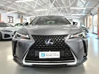 Usata Lexus UX Business Edition 152 CV (111 kW) 2021 Grigio SUV