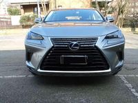Usata Lexus NX300h Executive Line 155 CV (114 kW) 2018 Grigio SUV